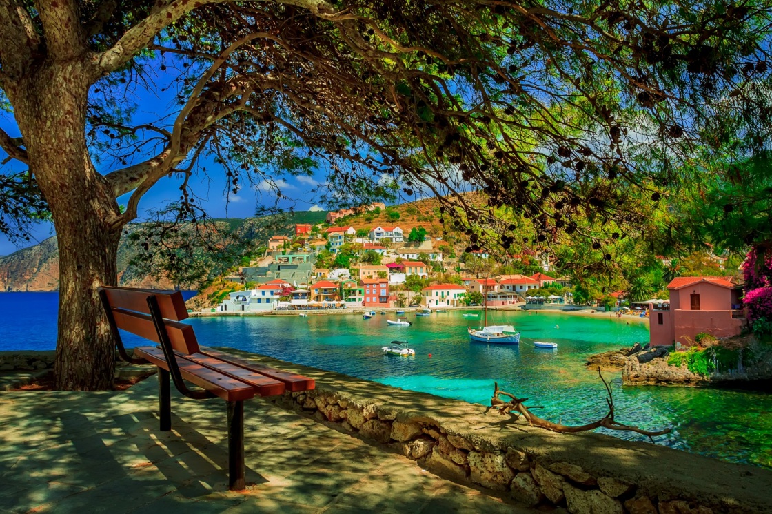 'Bench under a tree on a sunny day at Assos beach, Kefalonia, Greece' - Κεφαλονιά